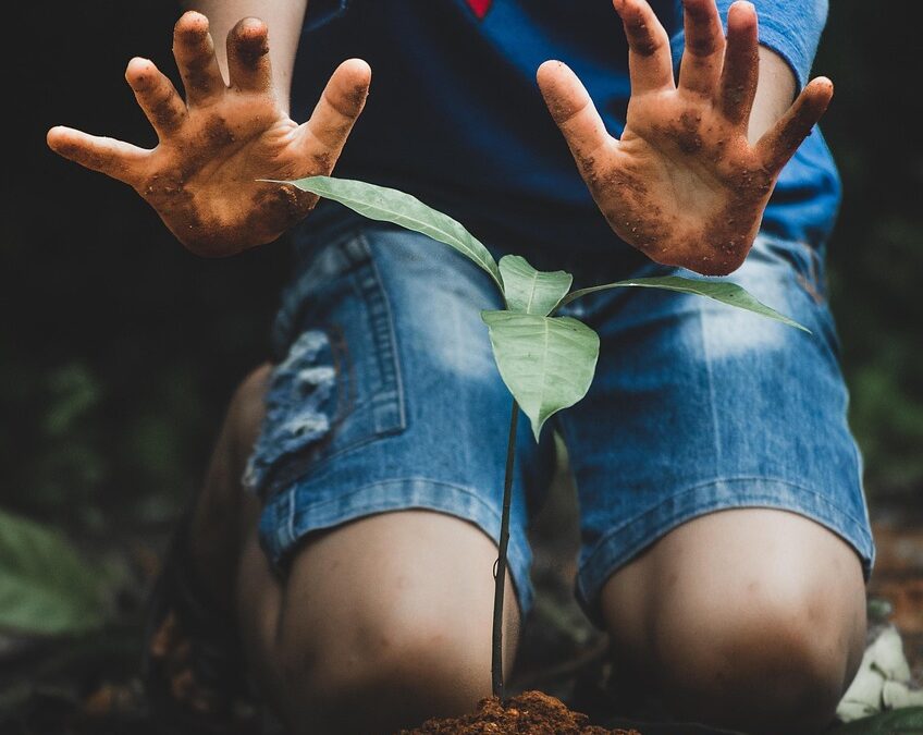 Pelatihan Perekonomian sebagai Upaya Mengurangi Kemiskinan di Duri Selatan