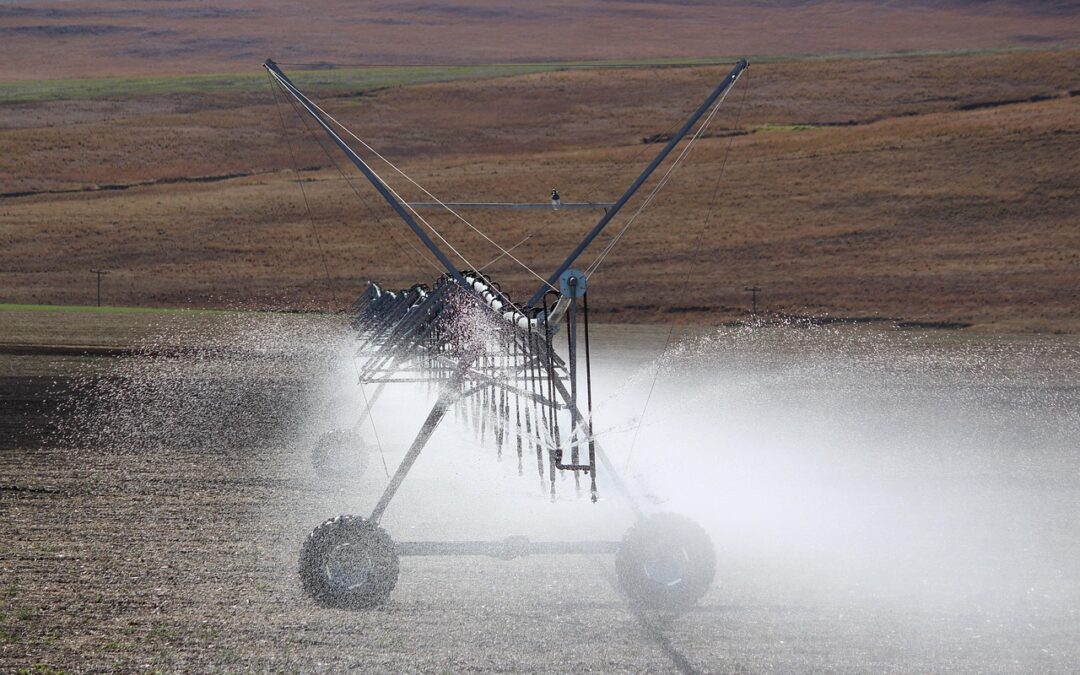 Dampak Program UMKM terhadap Perekonomian Desa Duri Selatan