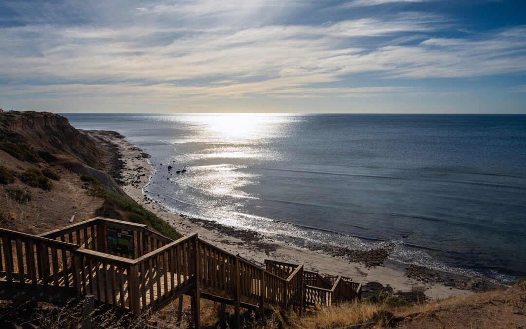 Penerapan Teknologi Pertanian Modern untuk Meningkatkan Hasil Tani di Duri Selatan